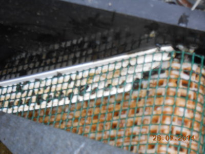 DSCN0343.JPG