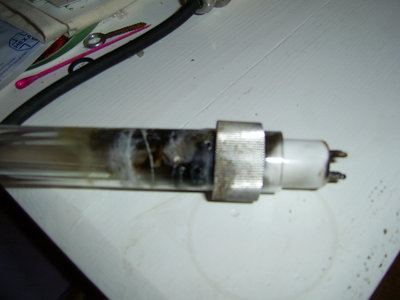 SA401638.JPG