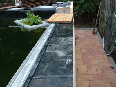 DSCF5900.JPG