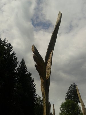 Steckerl Koi (1) - Kopie.jpg