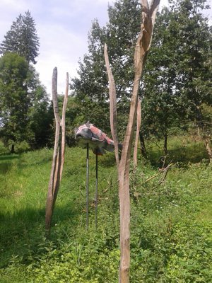 Steckerl Koi (6) - Kopie.jpg