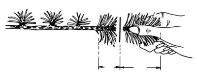 119.jpg
