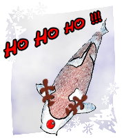 Weihnachtskoi.jpg
