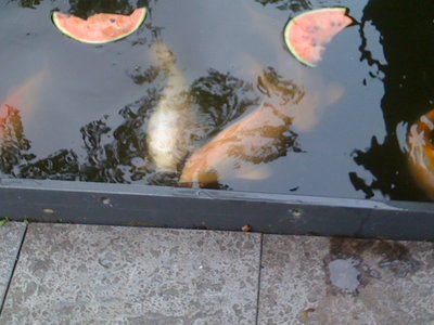 IMG_0843.JPG