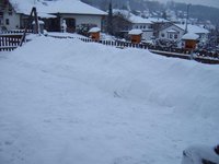 SV601103.jpg