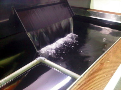 IMG-20110929-00219.jpg
