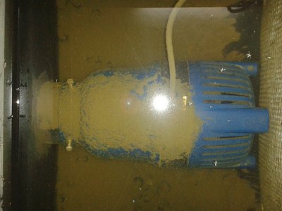 2014091016445400.jpg