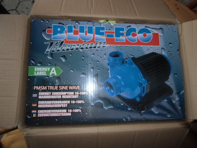 DSCI0003.JPG