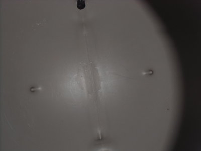 DSCI0001.JPG