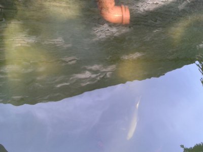 2014092912553800.jpg