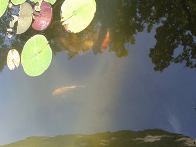 2014092913413100.jpg