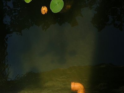 2014092913412700.jpg
