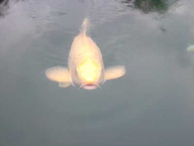 xxx20141001_184114.jpg
