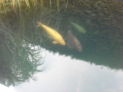 xxx20141001_184231.jpg