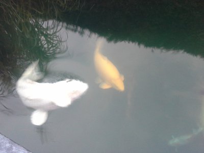 xxx20141001_184242.jpg