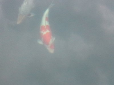 xxx20141001_184433.jpg