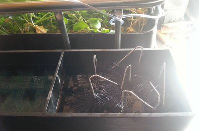 2014-10-07_135518.jpg