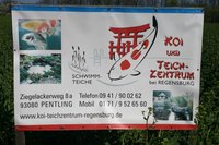 KoiWildFrühlingsfest25042010 003 [800x600].jpg