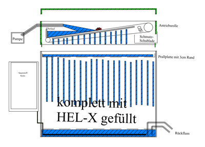 Garten_918.jpg