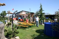 KoiWildFrühlingsfest25042010 004 [800x600].jpg