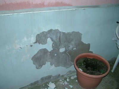 DSCF2743.jpg