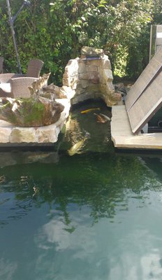 IMAG0017_1-1.jpg