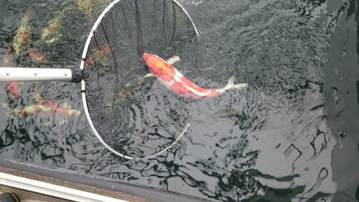 2014121121275000.jpg