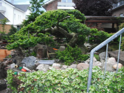DSCF1764.JPG
