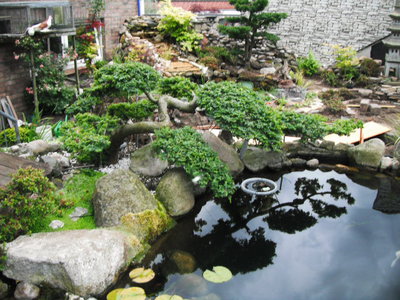 DSCF1767.JPG