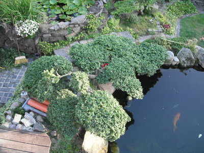 DSCF1189.JPG