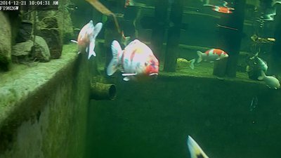 Snap_20141221-100431.jpg