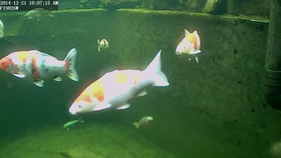 Snap_20141221-100715.jpg