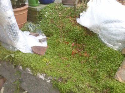 CAM00630.jpg