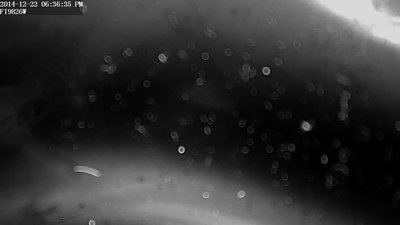 Snap_20141222-183635.jpg