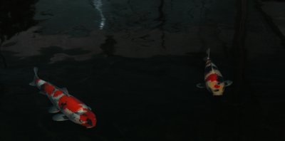 cam3.JPG