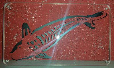 2015-02-09_192519.jpg