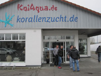 IMG_3706.jpg