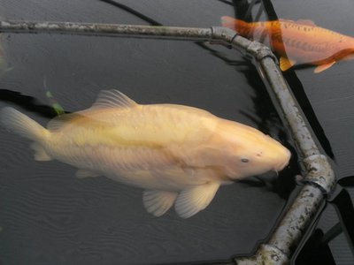20150119_150413.jpg
