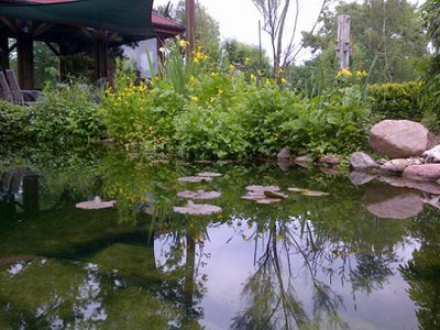 IMG-20140523-00703.jpg