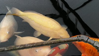 20150218_144808.jpg