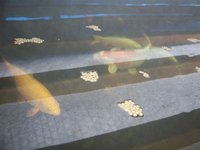 100_3954.jpg