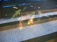 100_3953.jpg