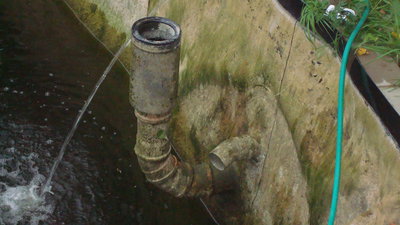 DSC02098.JPG