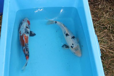 IMG_3041.JPG