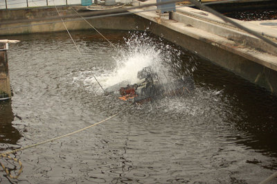 Okawa09.JPG