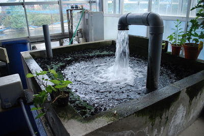 Okawa11.jpg