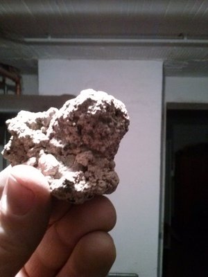 CAM00590.jpg