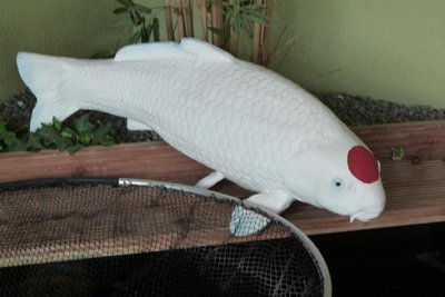 P1100206.JPG