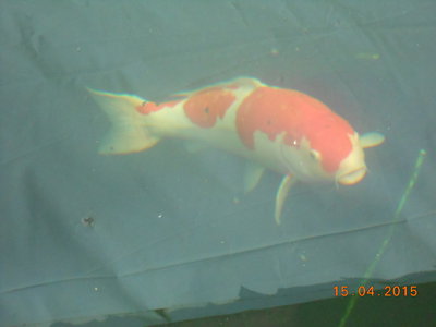 DSCN0555.JPG