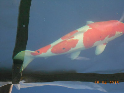 DSCN0558.JPG